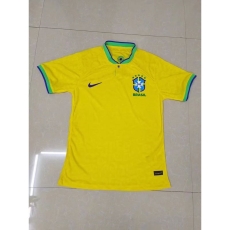 2022 Brazil home